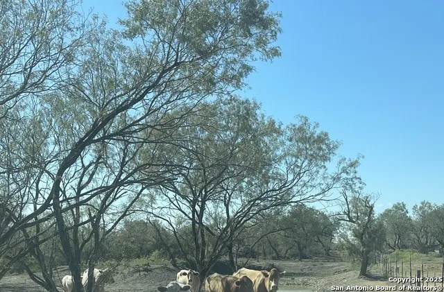 000 FM 1346 St Hedwig, TX 78152