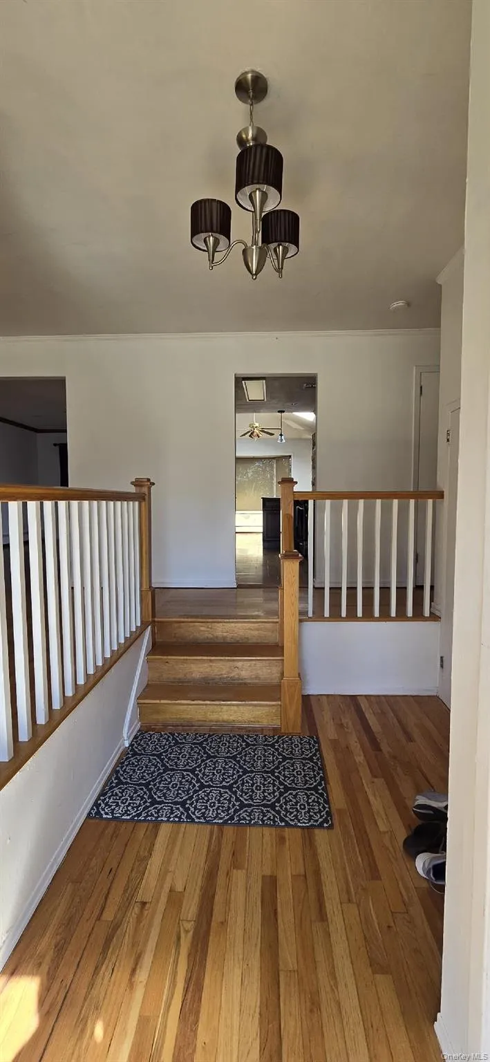 374 Vermont Avenue Oceanside, NY 11572