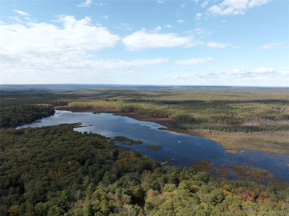 3 Big Lake Road Huguenot, NY 12746