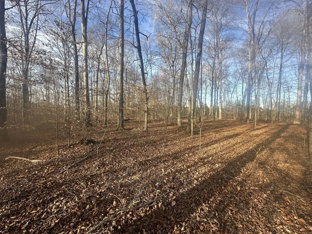 0 Arnold Thomas Rd Silver Point, TN 38582