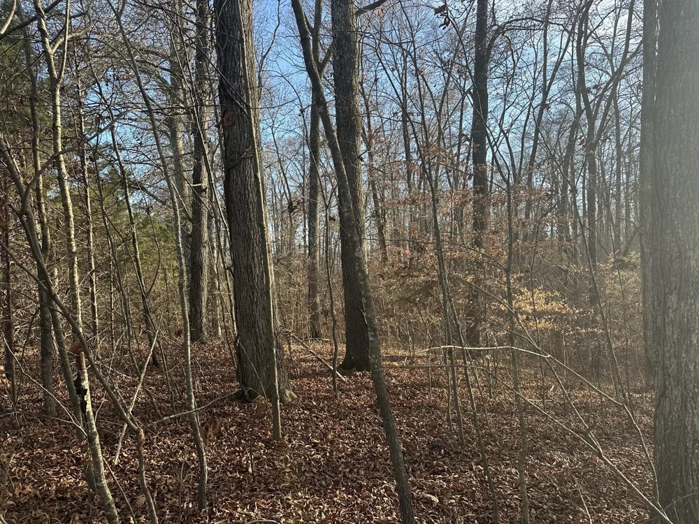 0 Arnold Thomas Rd Silver Point, TN 38582