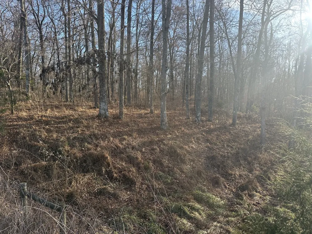 0 Arnold Thomas Rd Silver Point, TN 38582