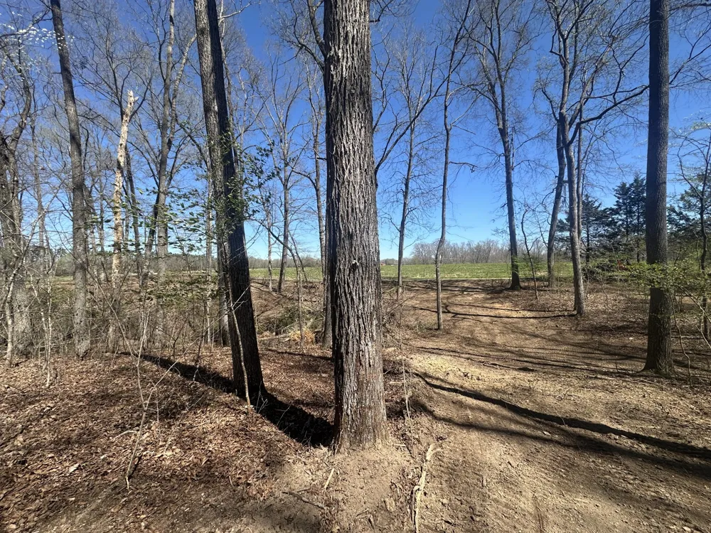 0 Arnold Thomas Rd Silver Point, TN 38582