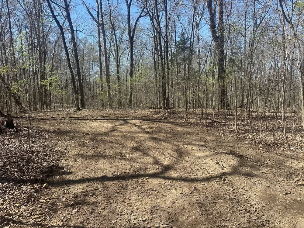0 Arnold Thomas Rd Silver Point, TN 38582