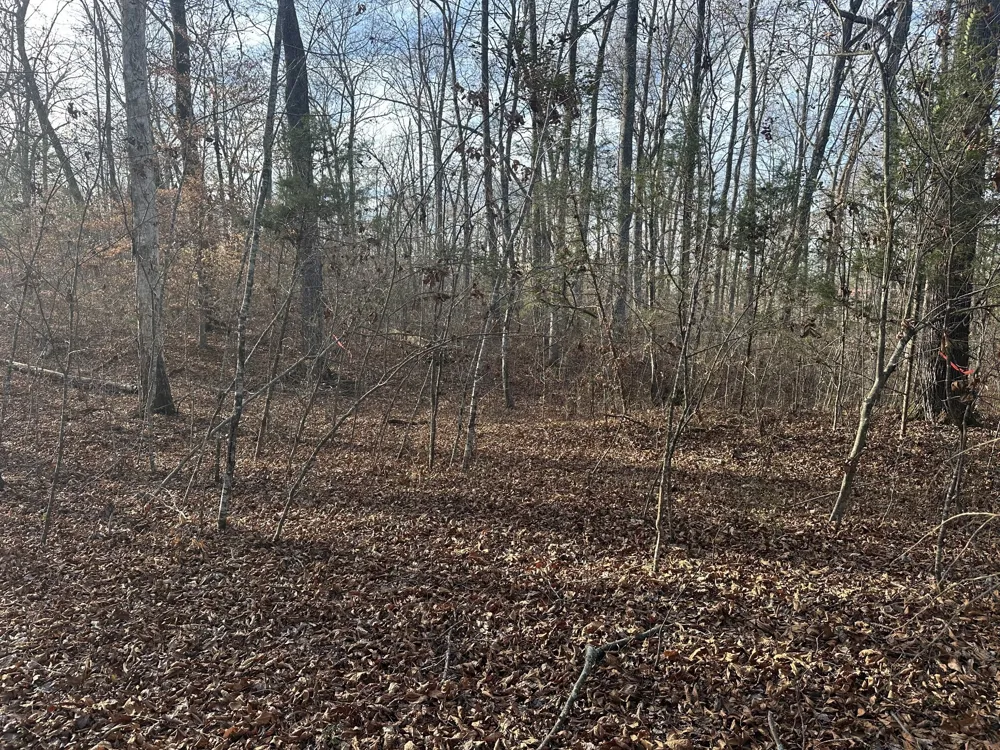 0 Arnold Thomas Rd Silver Point, TN 38582