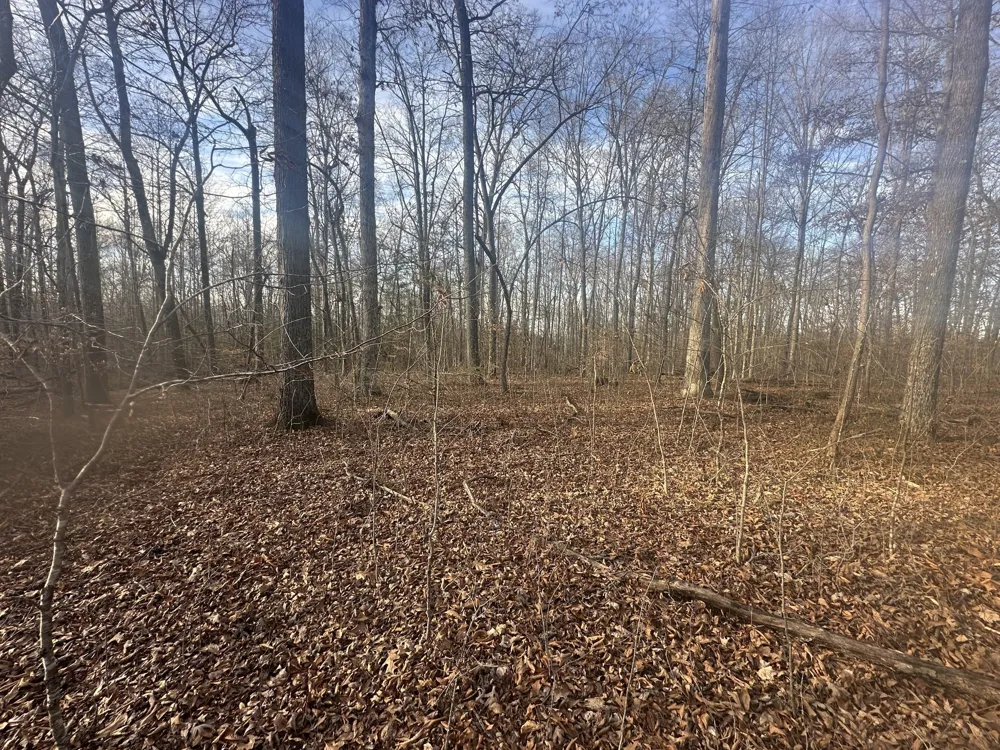 0 Arnold Thomas Rd Silver Point, TN 38582
