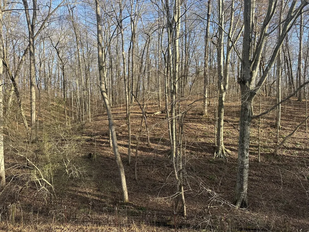 0 Arnold Thomas Rd Silver Point, TN 38582