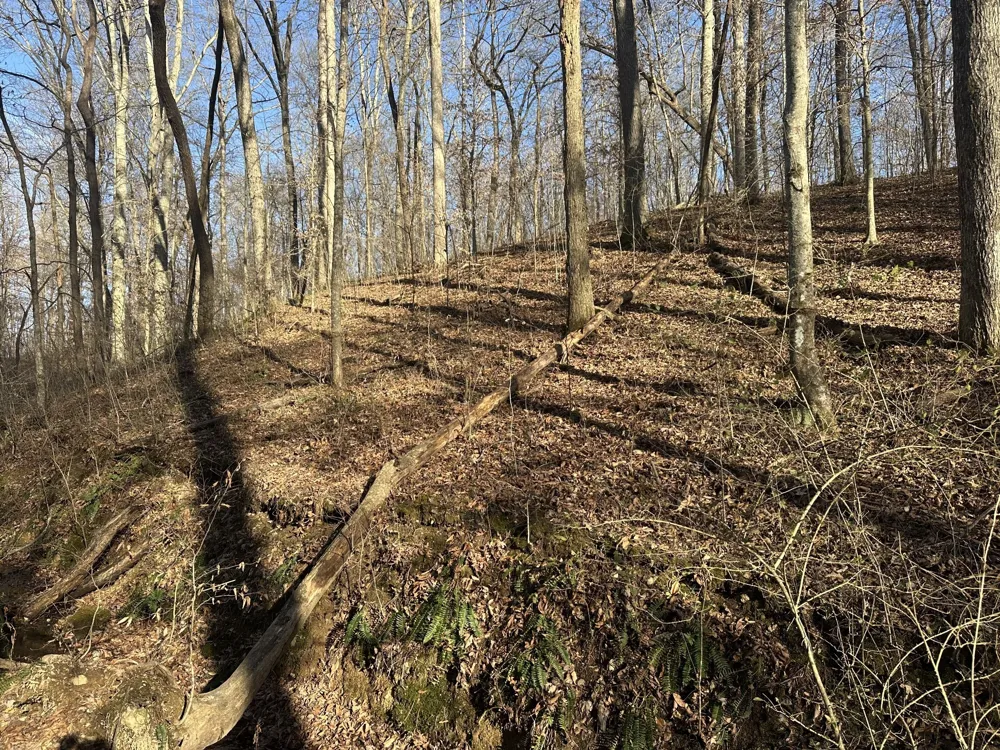 0 Arnold Thomas Rd Silver Point, TN 38582