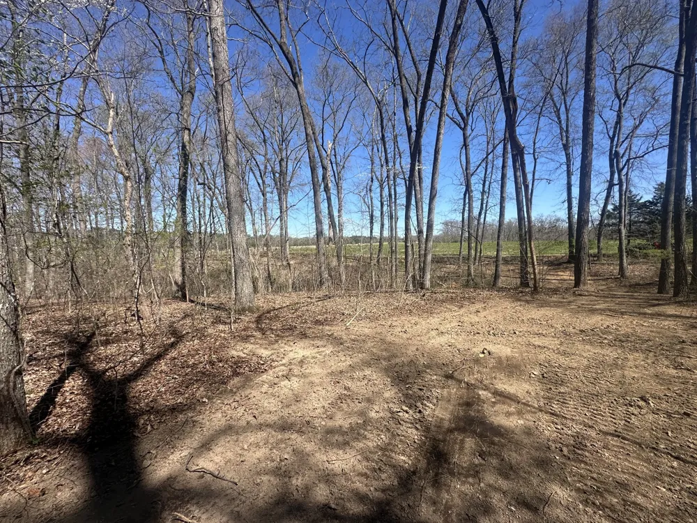0 Arnold Thomas Rd Silver Point, TN 38582