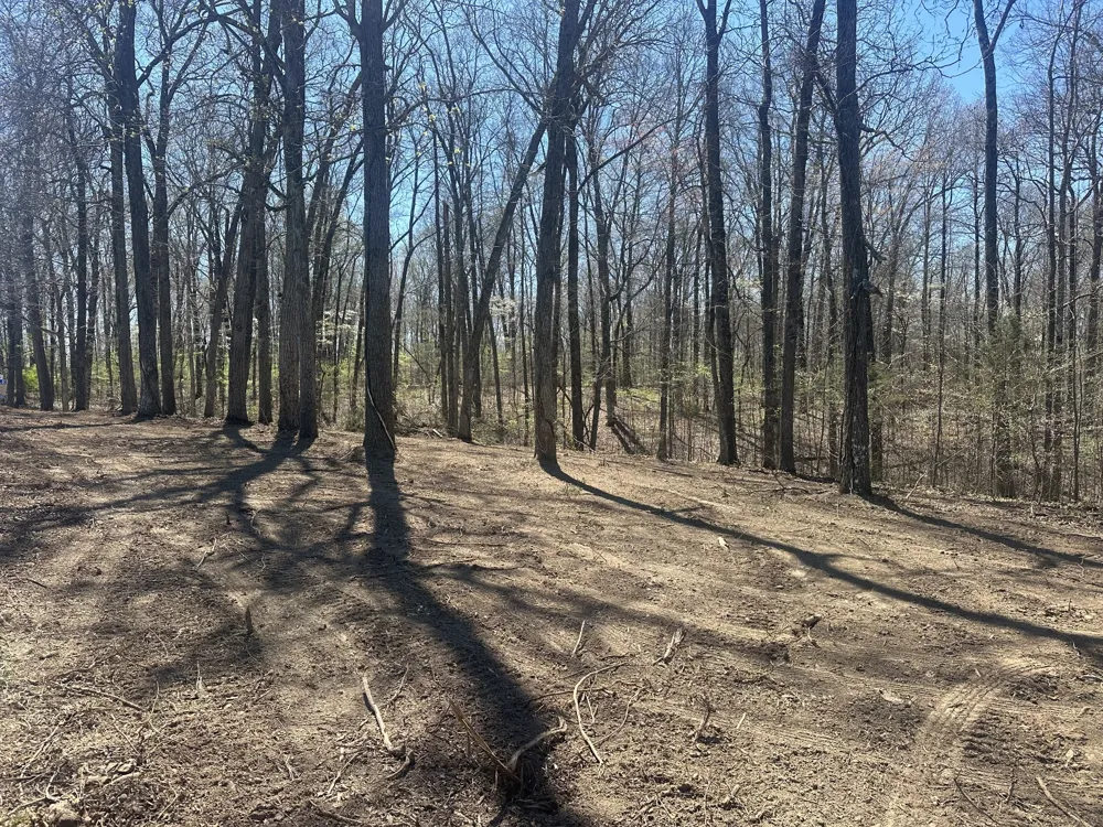 0 Arnold Thomas Rd Silver Point, TN 38582