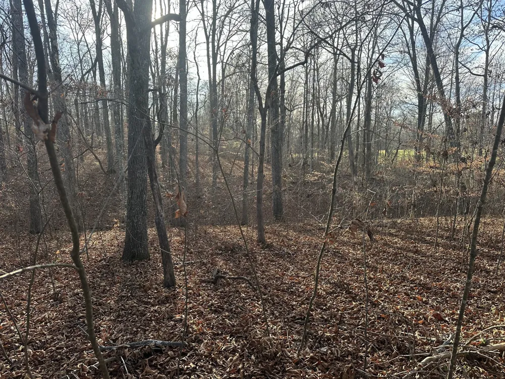 0 Arnold Thomas Rd Silver Point, TN 38582