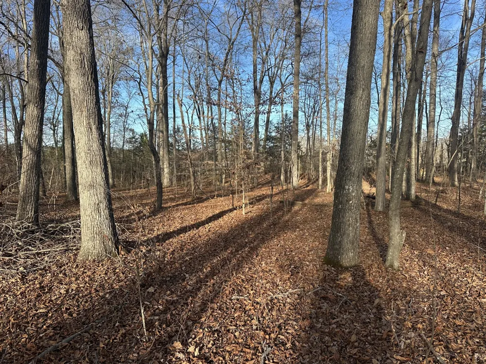 0 Arnold Thomas Rd Silver Point, TN 38582