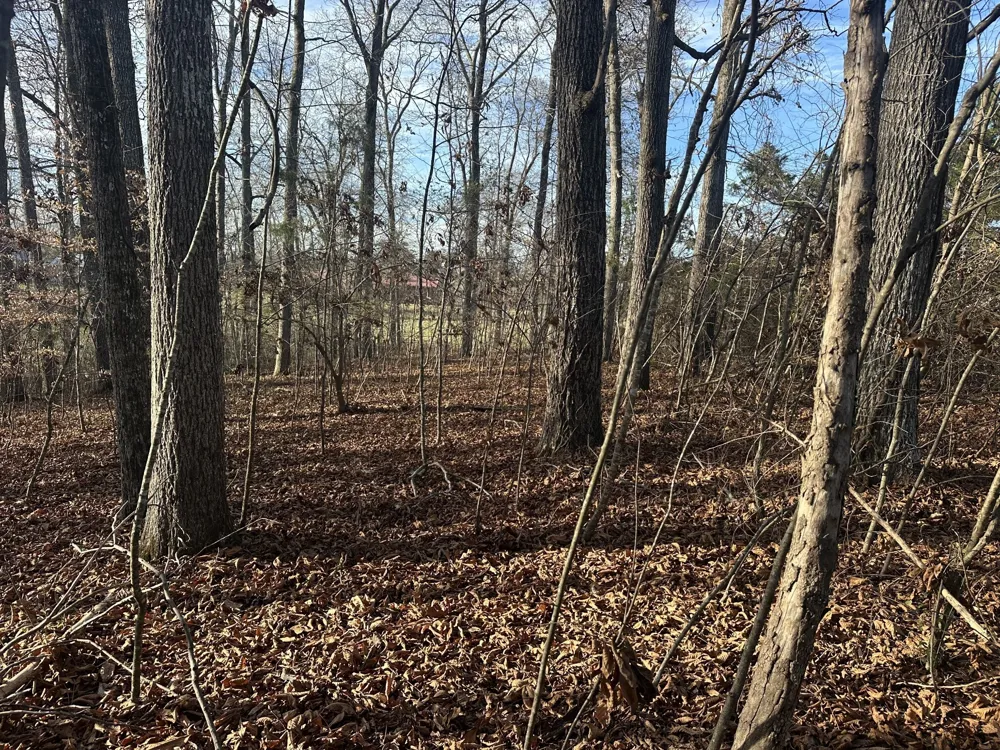 0 Arnold Thomas Rd Silver Point, TN 38582
