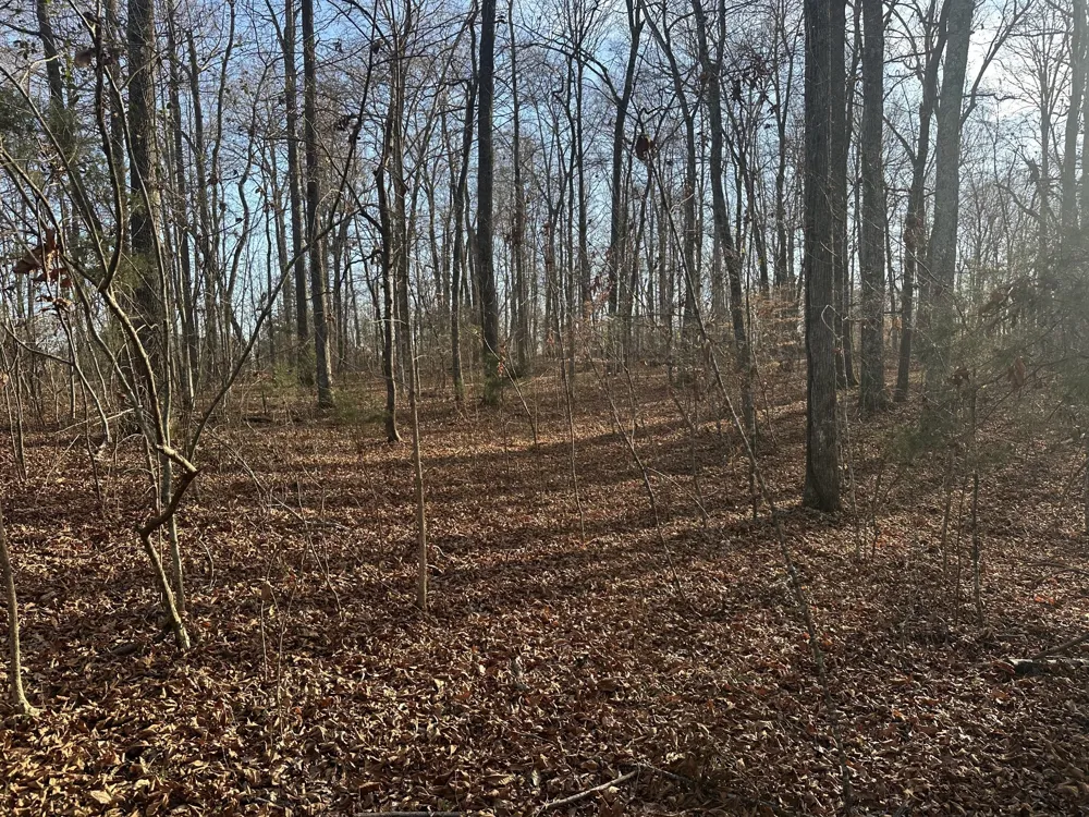 0 Arnold Thomas Rd Silver Point, TN 38582