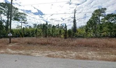 980 LAKESIDE DRIVE Lehigh Acres, FL 33974