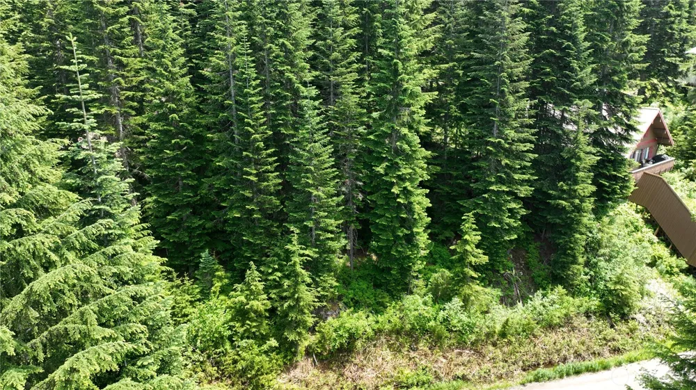 30 Saint Anton Snoqualmie Pass, WA 98068