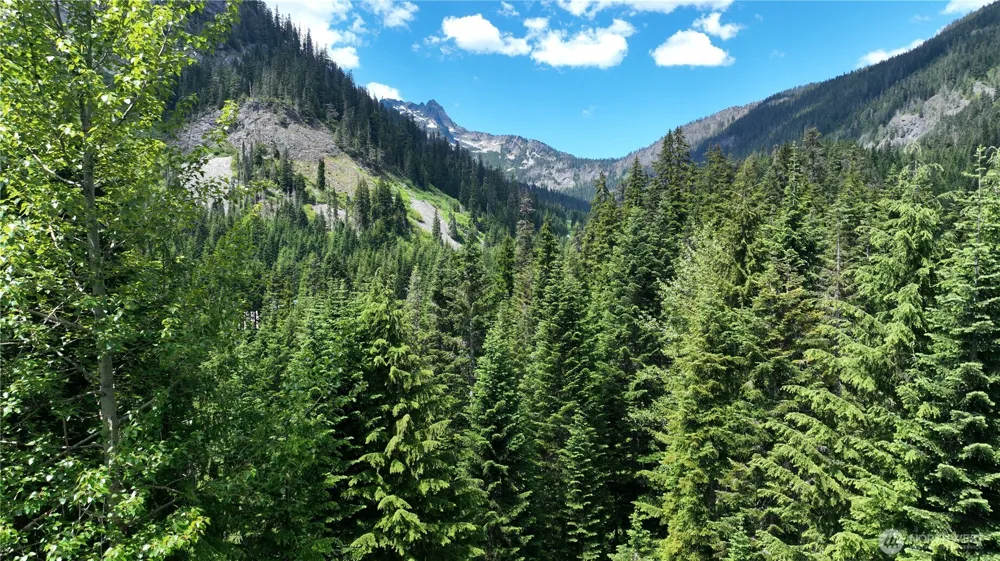 30 Saint Anton Snoqualmie Pass, WA 98068