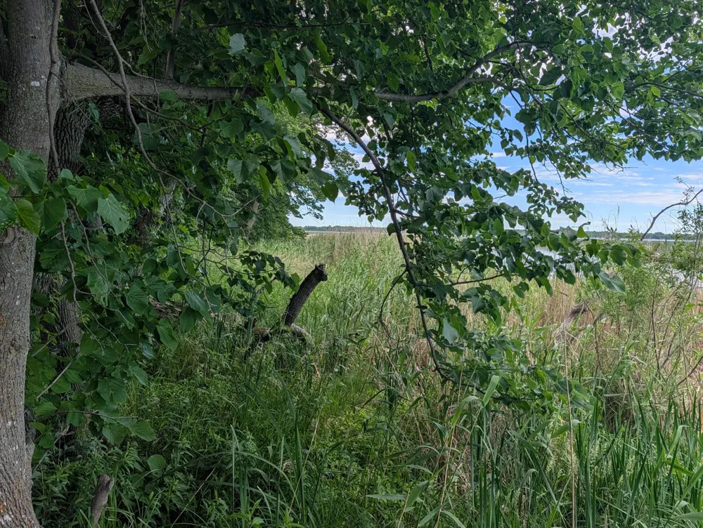 TBD 477th Avenue New York Mills, MN 56567