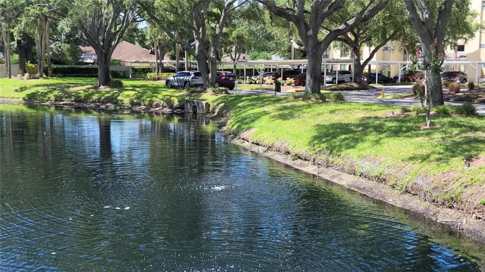 13626 GREENFIELD DRIVE #201 Tampa, FL 33618