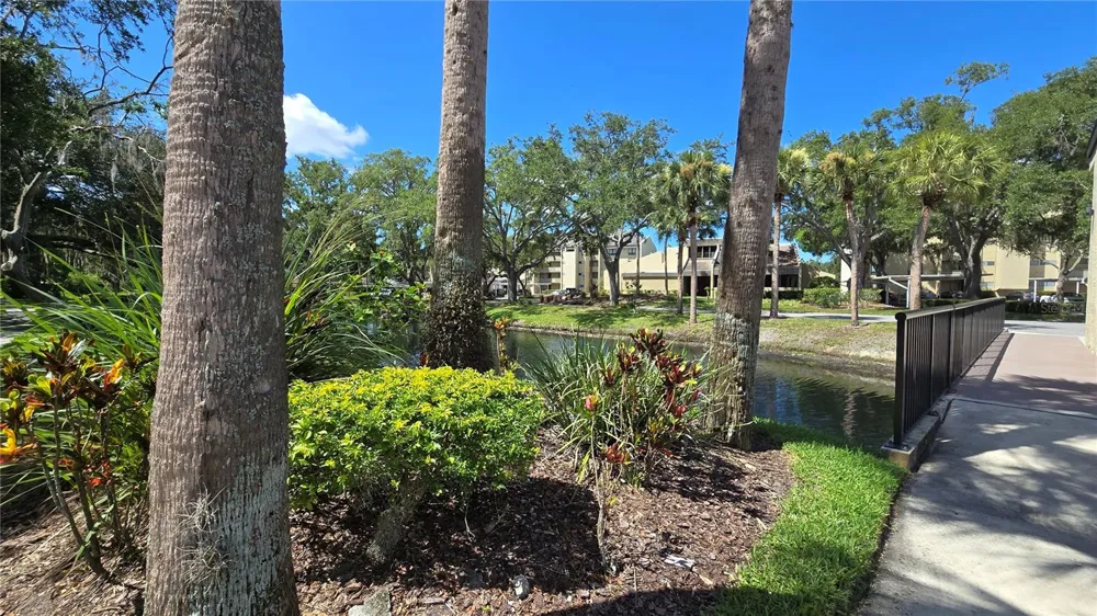 13626 GREENFIELD DRIVE #201 Tampa, FL 33618