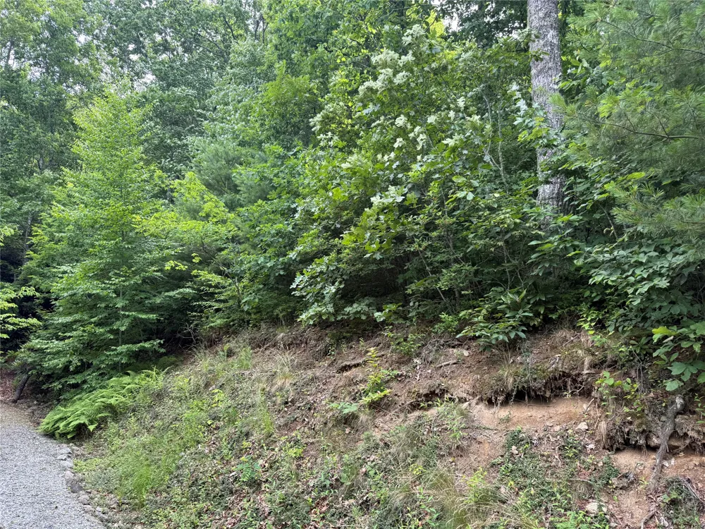 6 Loch Drive Glenville, NC 28736