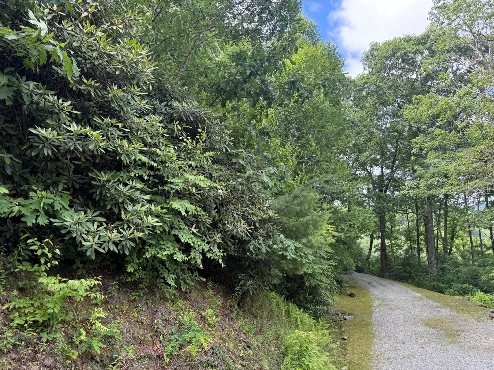 6 Loch Drive Glenville, NC 28736