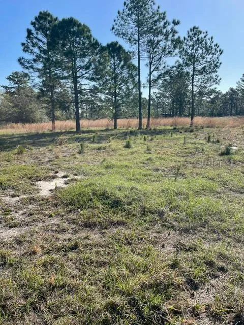CAESAR AVENUE Orlando, FL 32833