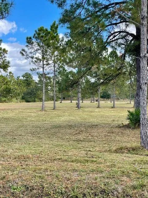 CAESAR AVENUE Orlando, FL 32833