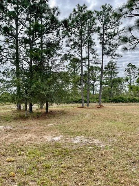 CAESAR AVENUE Orlando, FL 32833