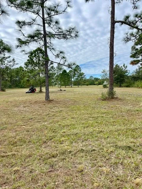 CAESAR AVENUE Orlando, FL 32833