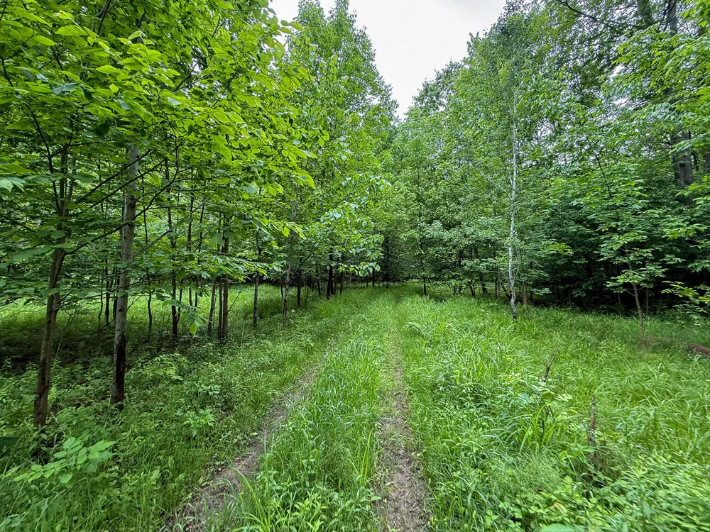 5070 W Sanborn Road Lake City, MI 49651