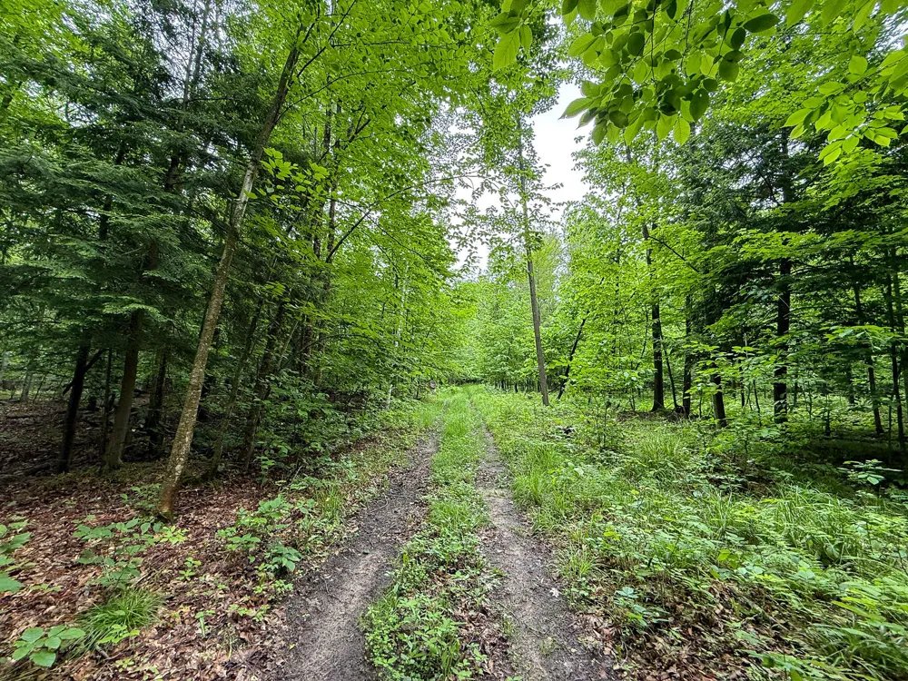 5070 W Sanborn Road Lake City, MI 49651