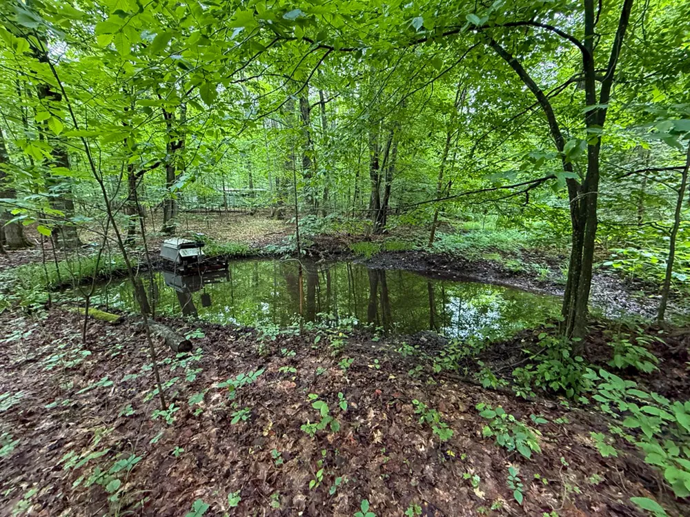 5070 W Sanborn Road Lake City, MI 49651
