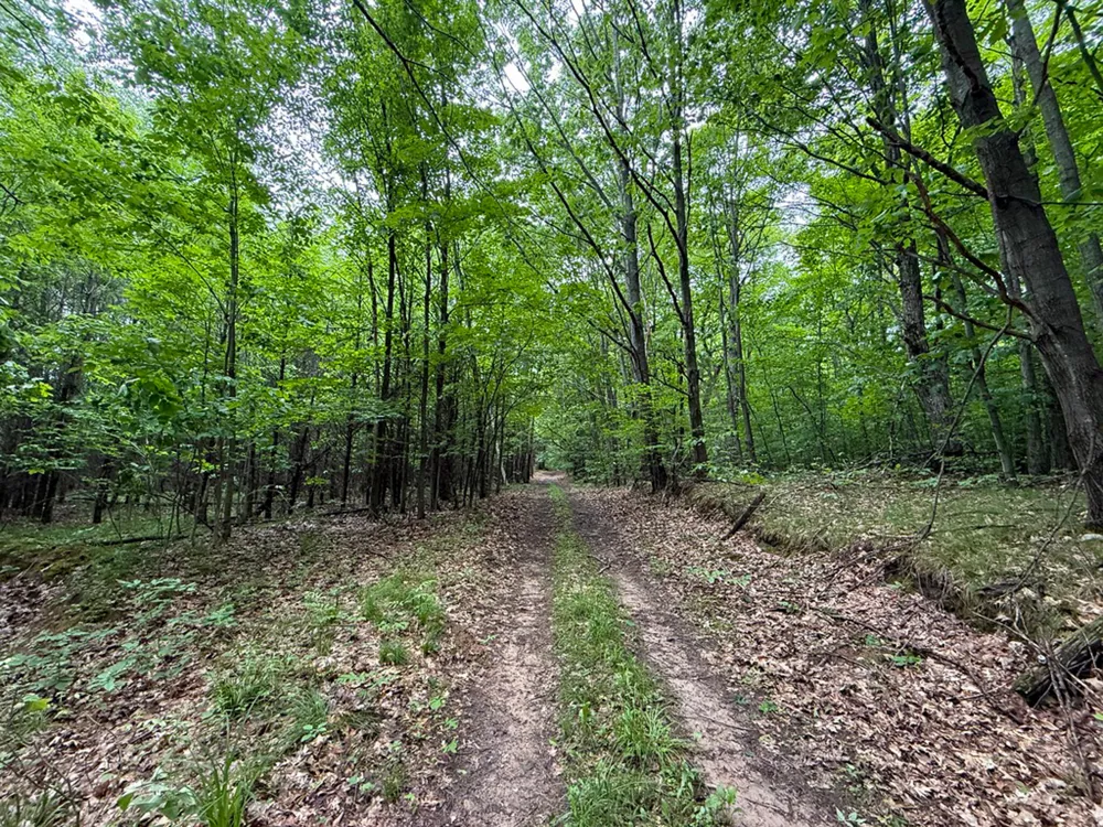 5070 W Sanborn Road Lake City, MI 49651