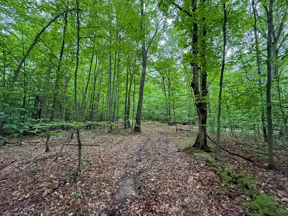 5070 W Sanborn Road Lake City, MI 49651
