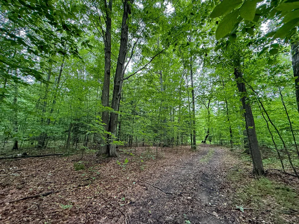 5070 W Sanborn Road Lake City, MI 49651