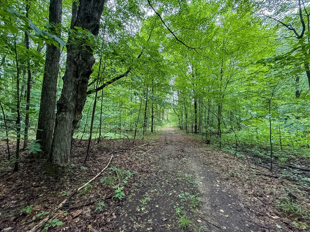 5070 W Sanborn Road Lake City, MI 49651