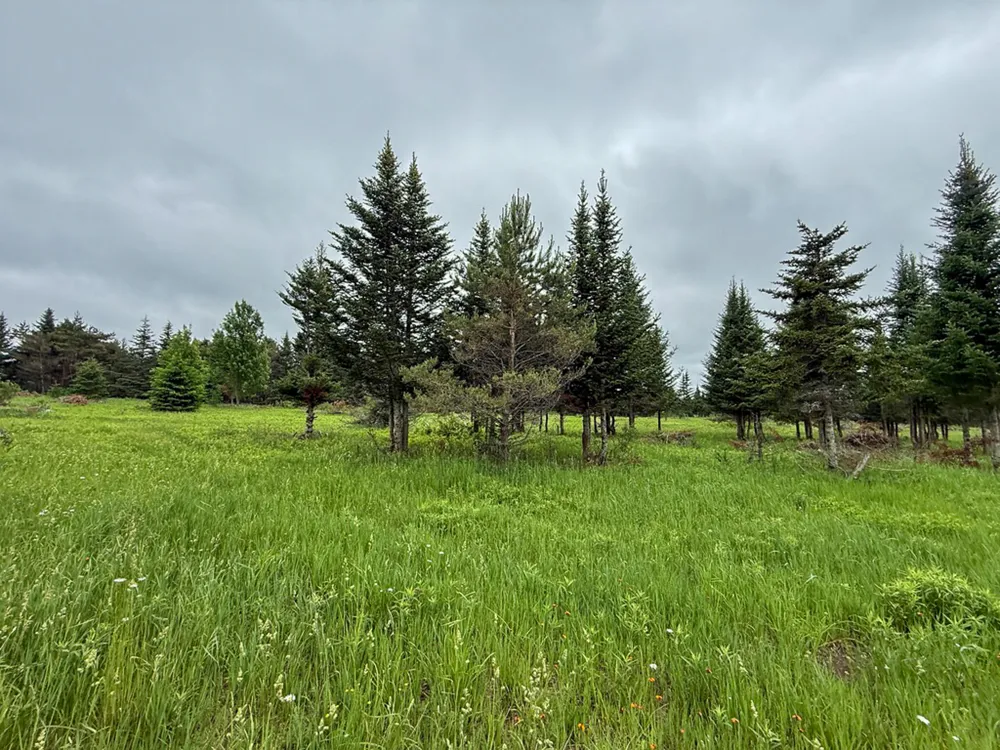 5070 W Sanborn Road Lake City, MI 49651