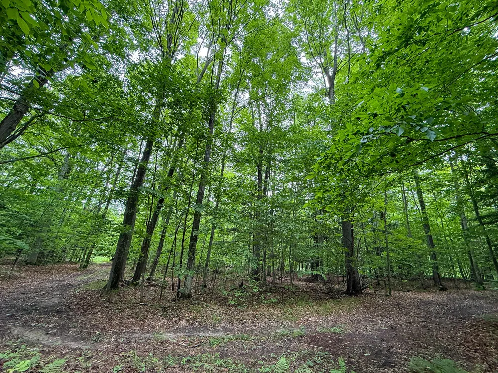 5070 W Sanborn Road Lake City, MI 49651