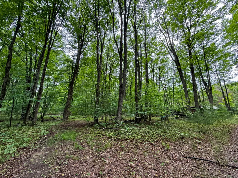 5070 W Sanborn Road Lake City, MI 49651