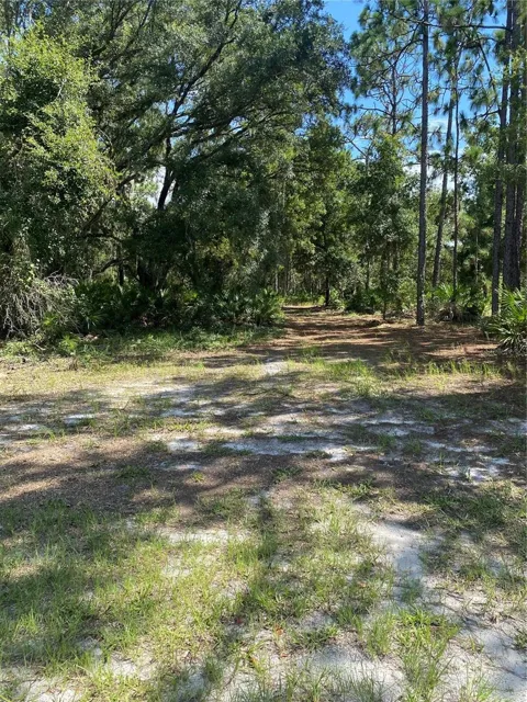 0 OLEANDER DRIVE