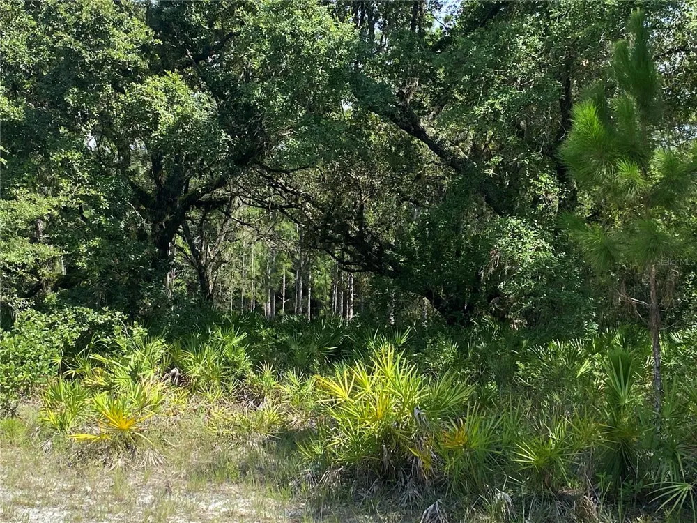 0 OLEANDER DRIVE Indian Lake Estates, FL 33855