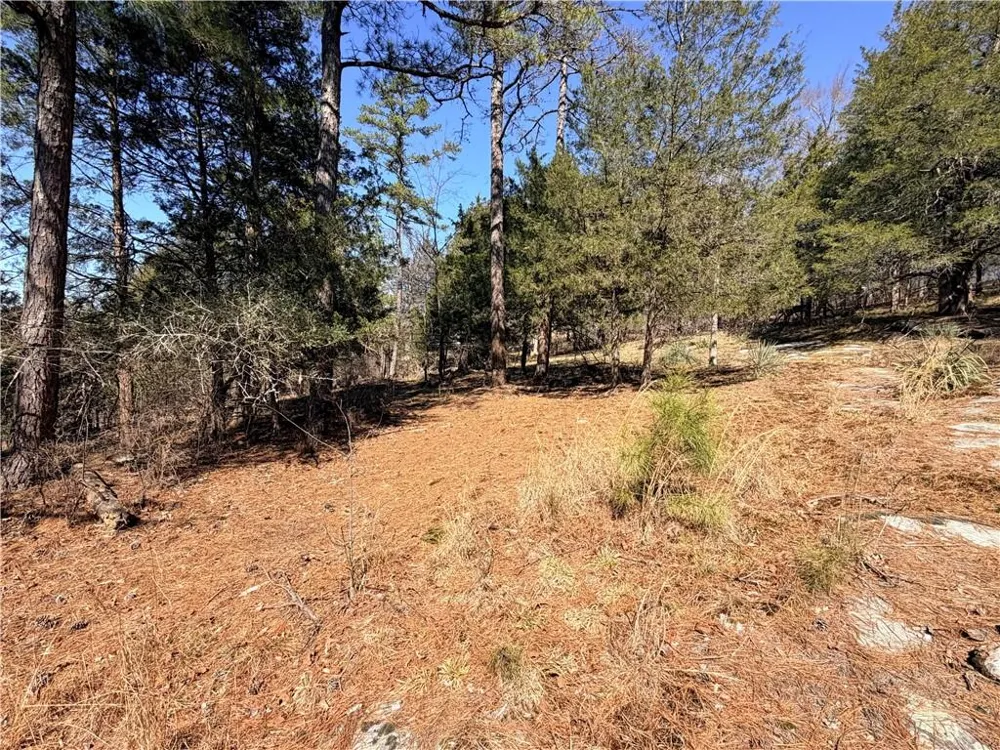 4012 PAULETTE DRIVE Monroe, GA 30656