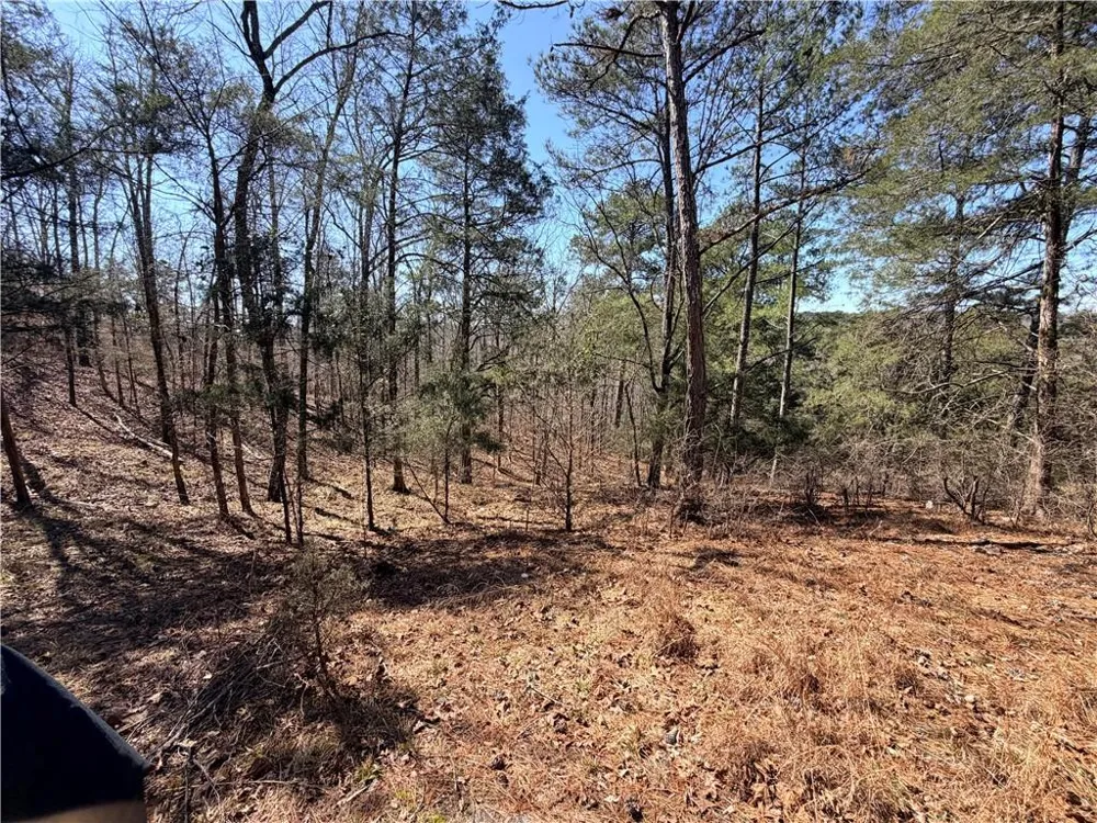4012 PAULETTE DRIVE Monroe, GA 30656