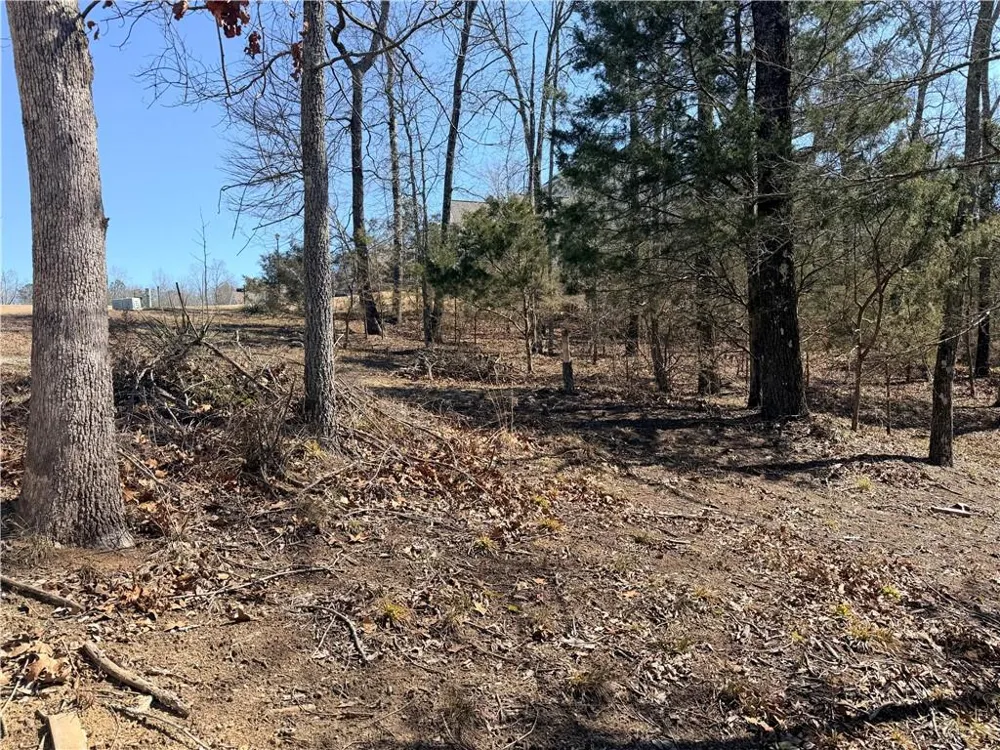 4012 PAULETTE DRIVE Monroe, GA 30656