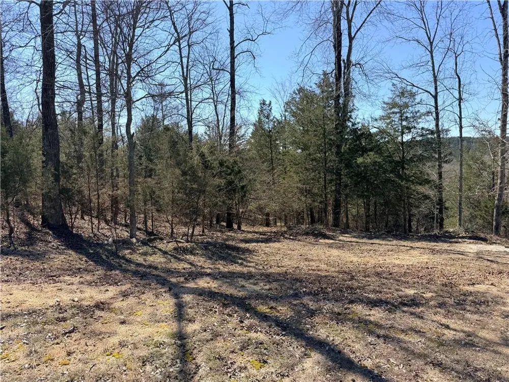 4012 PAULETTE DRIVE Monroe, GA 30656