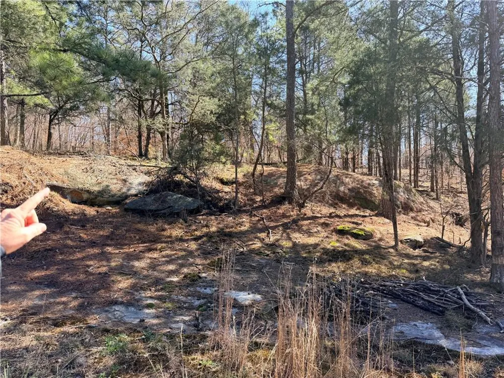 4012 PAULETTE DRIVE Monroe, GA 30656