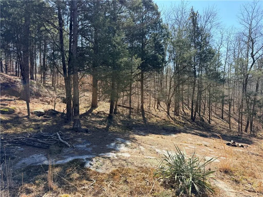 4012 PAULETTE DRIVE Monroe, GA 30656