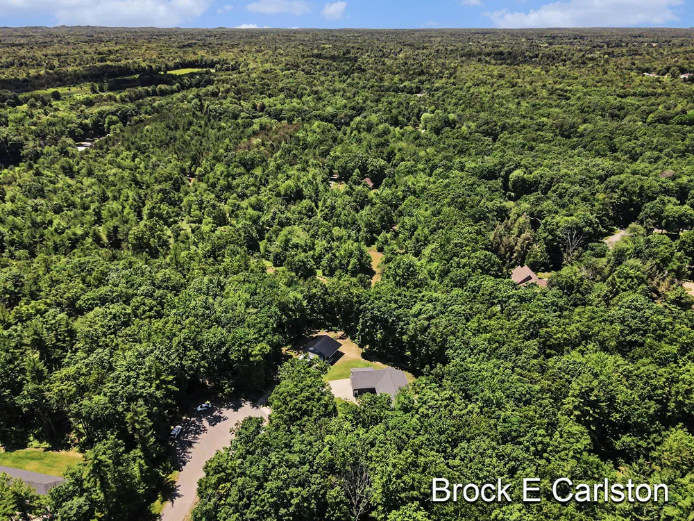 1294 Tall Tree Lane Laketon Township, MI 49445
