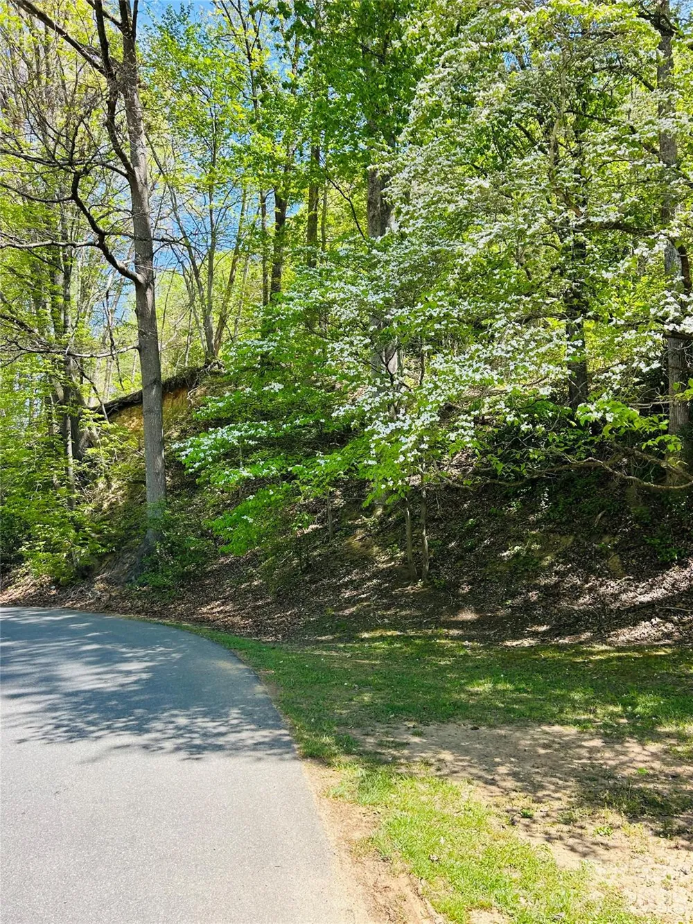 128 W Orchard Street Old Fort, NC 28762